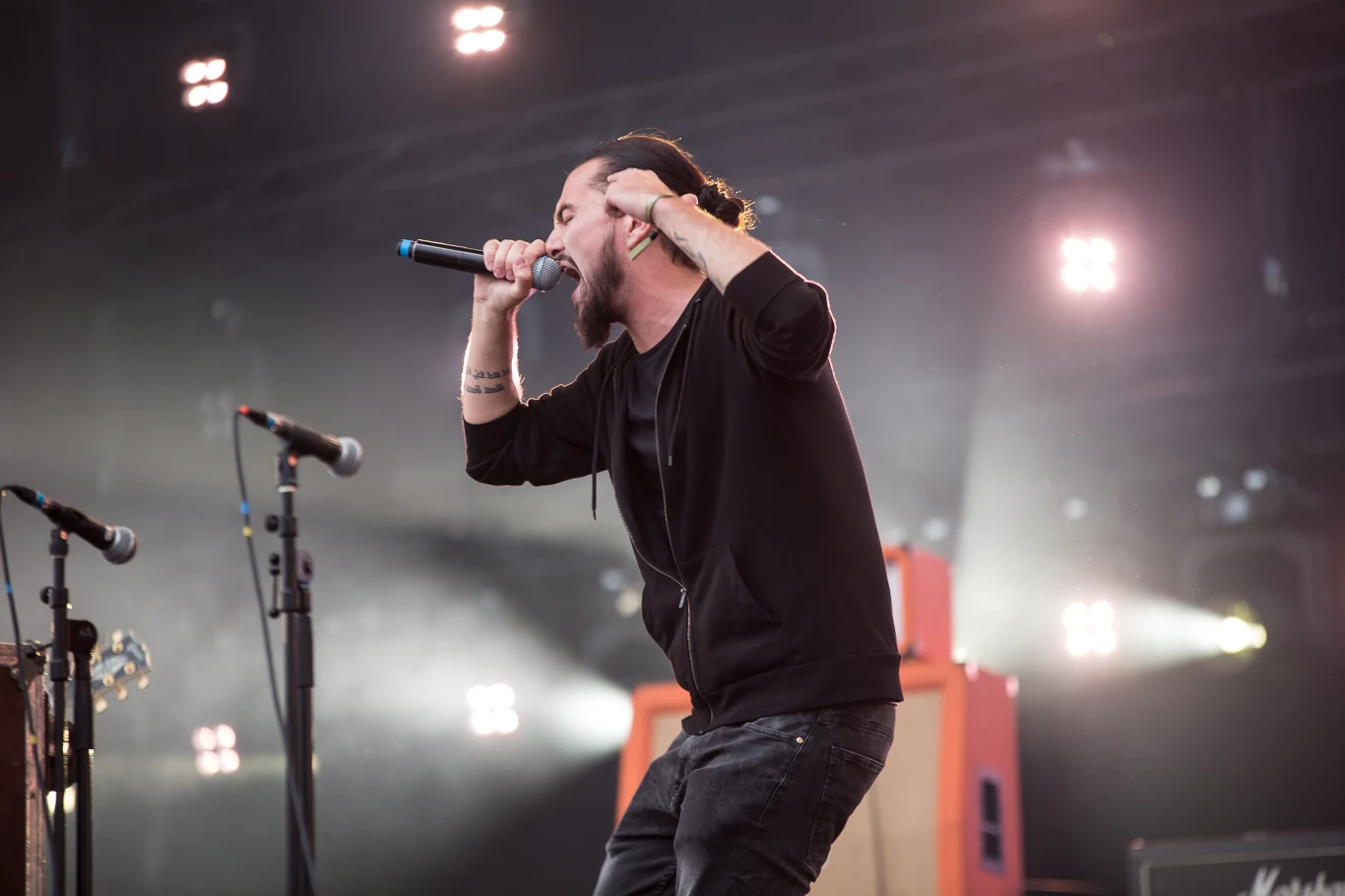 Zobacz zdjęcia z koncertu "Punk Alive" podczas Tauron Life Festival 2018 - Włochaty