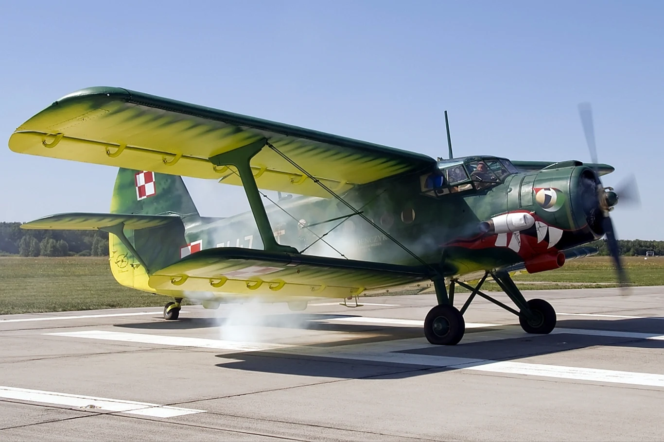 An-2, popularnie zwany Antkiem, to najliczniej produkowany samolot w Polsce. Skonstruowany przez Olega Antonowa w 1947 transportowo – pasażerski dwupłat, od 1960 do początku lat 90. masowo produkowany na licencji w PZL Mielec. Powstało wiele wersji, głównie transportowo – desantowa, pasażerska, rolnicza, wodna na pływakach, a także salonka. Wyprodukowano ponad 12 000 egzemplarzy, z czego większość na eksport do ZSRR. W Polsce Antki używane są jako samoloty transportowe, do wywożenia skoczków spadochronowych, rolnicze, gaśnicze i pasażerskie. Do 2012 r. były używane w lotnictwie wojskowym do zadań transportowych, szkolenia pilotów i holowania rękawów strzeleckich. W minionych latach Antki kilkakrotnie posłużyły jako środek ucieczki pilotów wraz z rodzinami na Zachód z krajów komunistycznych. Występujący na Pikniku egzemplarz SP-MLP, noszący wcześniej numer wojskowy 7447 został wykorzystany przez załogę z 13 Pułku Lotnictwa Transportowego w Krakowie do ucieczki do Wiednia 1 kwietnia 1982 r.., dlatego też nosi nazwę Wiedeńczyk.