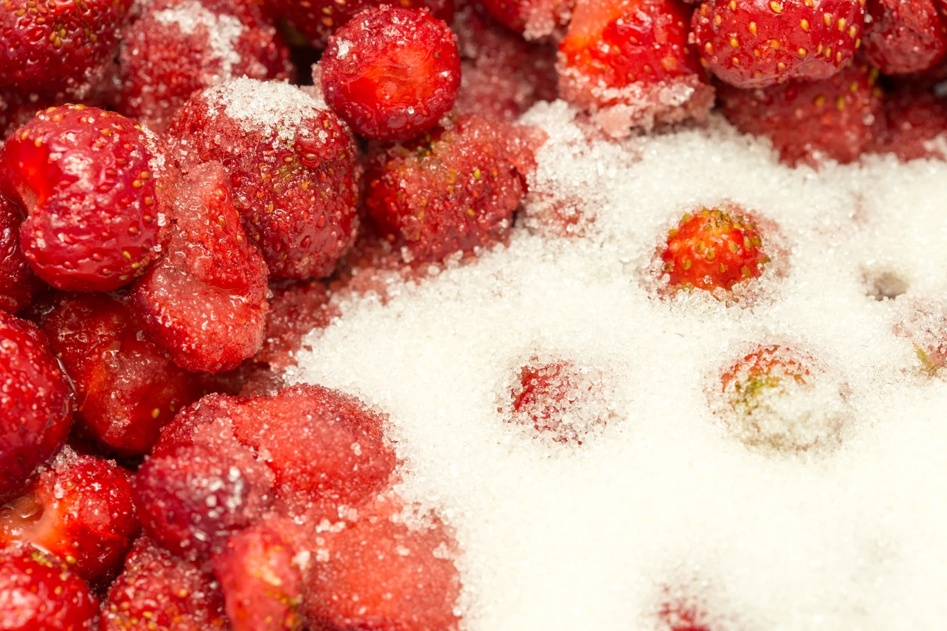 Truskawki zasyp cukrem Truskawki zasyp cukrem