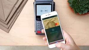 Szef Apple: płatności Apple Pay stają się coraz popularniejsze