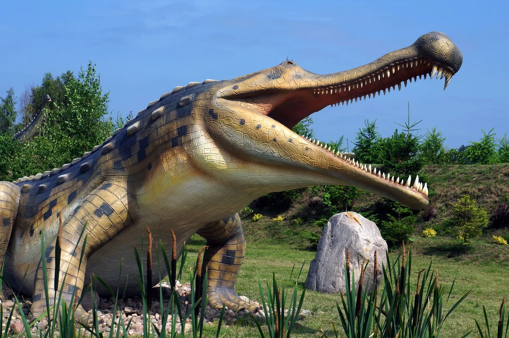 Park Dinozaurów w Łebie