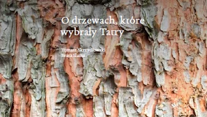 O drzewach, które wybrały Tatry, Tomasz Skrzydłowski, Beata Słama 
