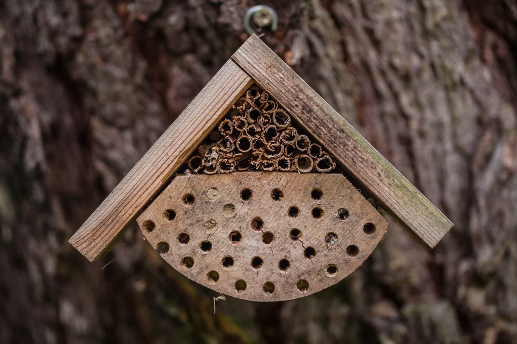 W ogrodach warto montować domki dla pożytecznych owadów 