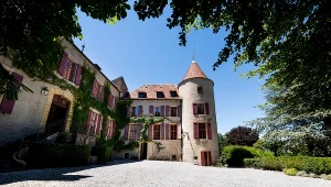 Zamek Château de Bavois