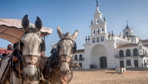 El Rocio. Pielgrzymka w rytmie flamenco