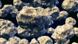 Niezwykłe pochodzenie asteroid w Układzie Słonecznym