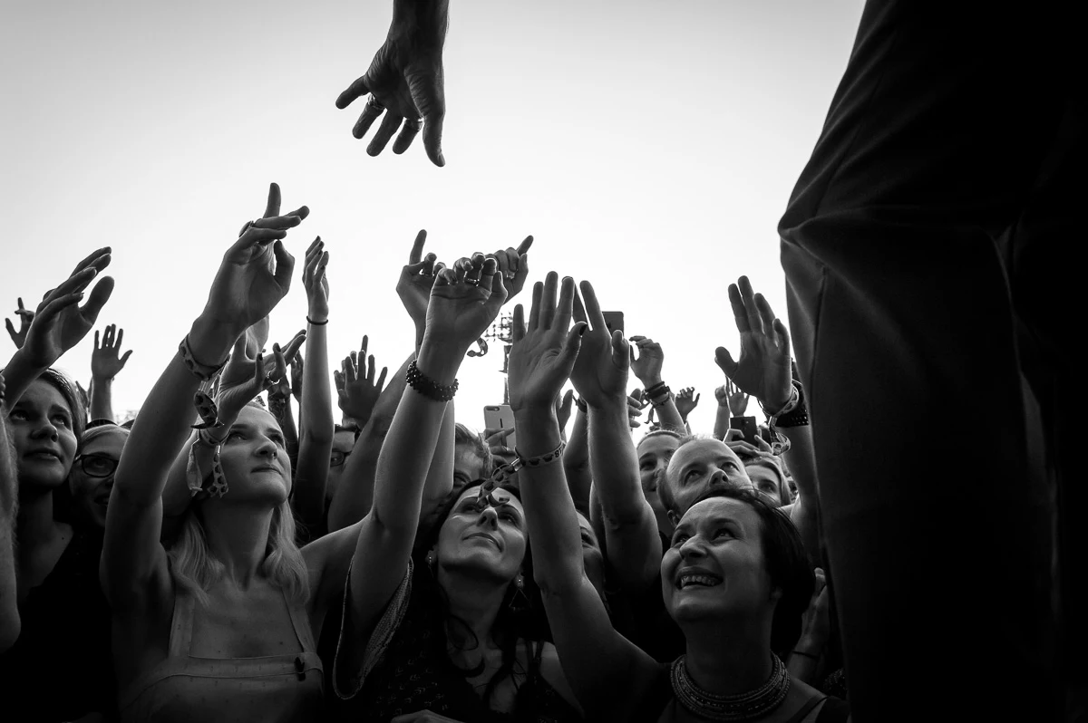 Nick Cave & The Bad Seeds
