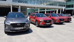 ​Hyundai Santa Fe, Tucson i Kona - co nowego oferują?