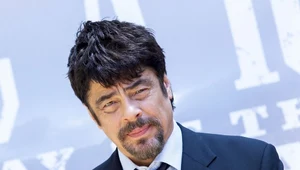 Benicio del Toro