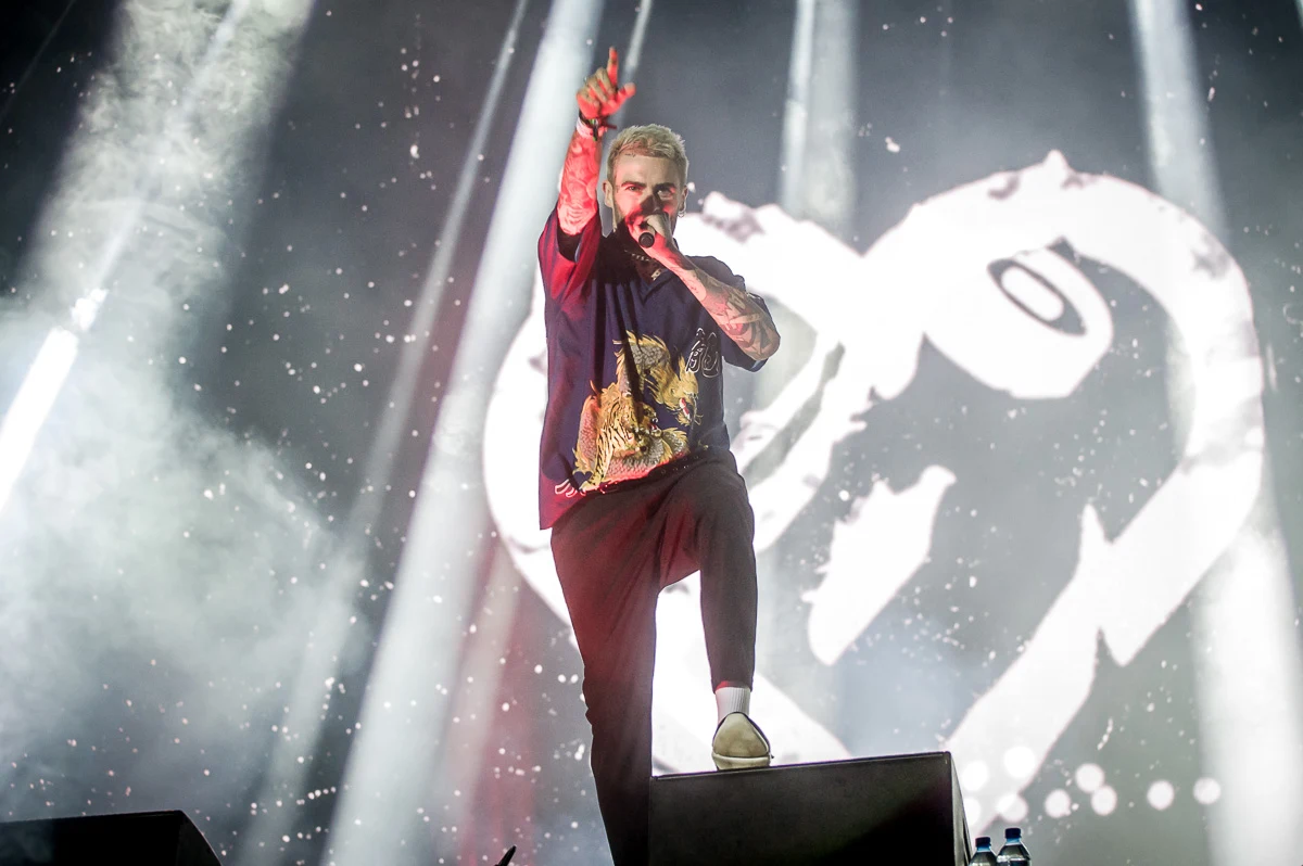 Taconafide Taconafide