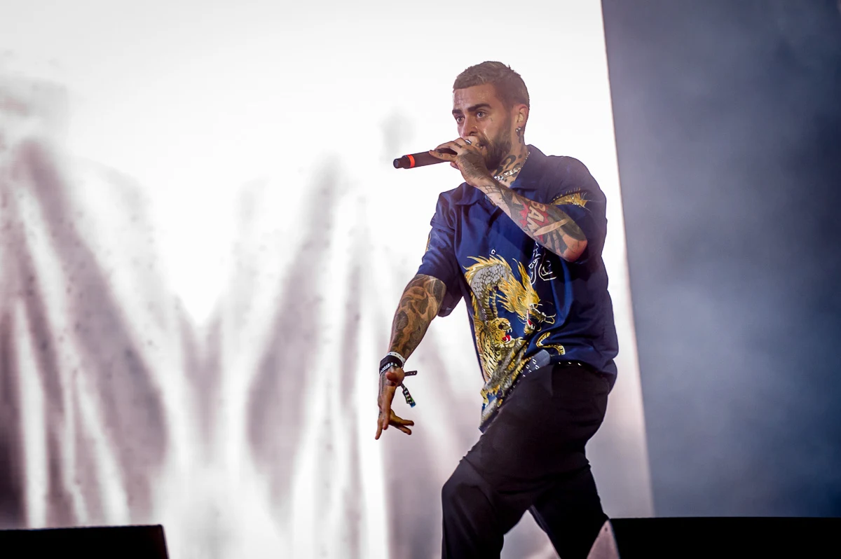 Taconafide Taconafide