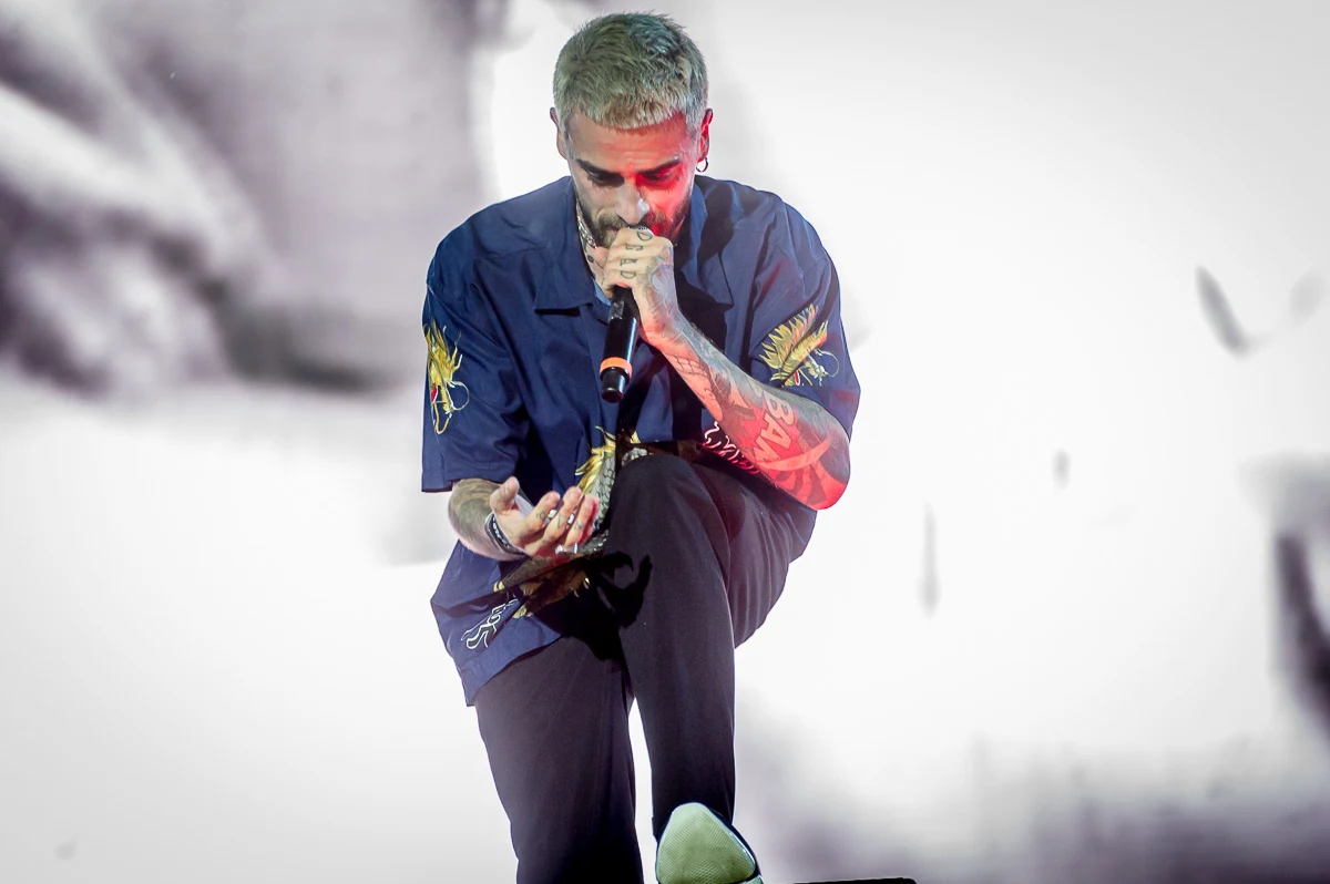 Taconafide Taconafide