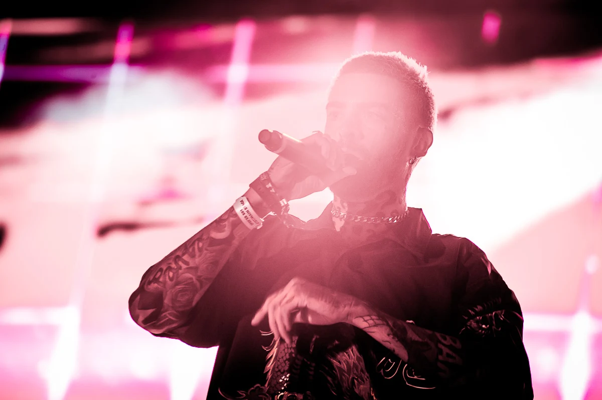 Taconafide Taconafide