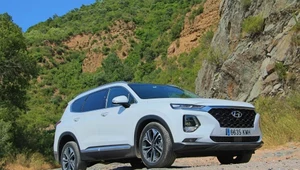 Hyundai Santa Fe i Kona diesel - jak jeżdżą koreańskie nowości?