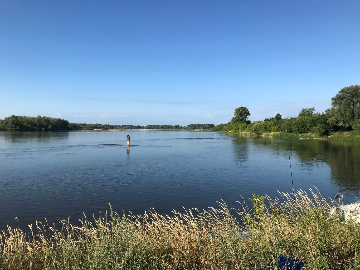 Okolica, w której prowadzone są poszukiwania węża