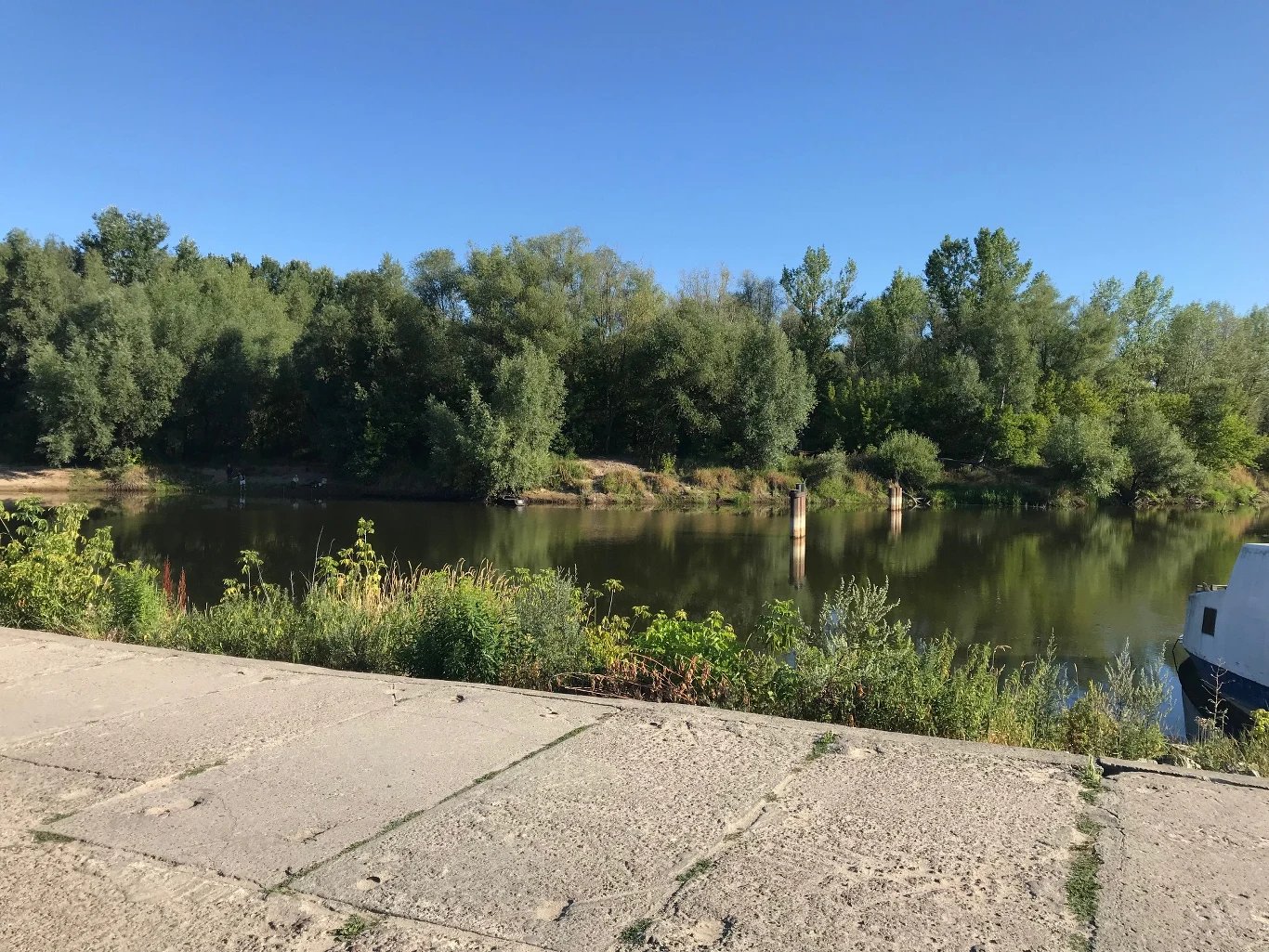 Węża szukają policjanci, straż miejska i nurkowie