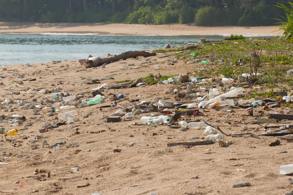 Ekolodzy wskazali najbardziej zanieczyszczone plaże w Hiszpanii