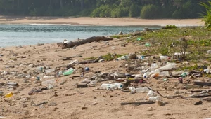 Ekolodzy wskazali najbrudniejsze plaże w Hiszpanii. Śmieci, wycieki chemiczne i psie odchody to początek