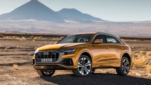 Audi Q8 wchodzi do sprzedaży