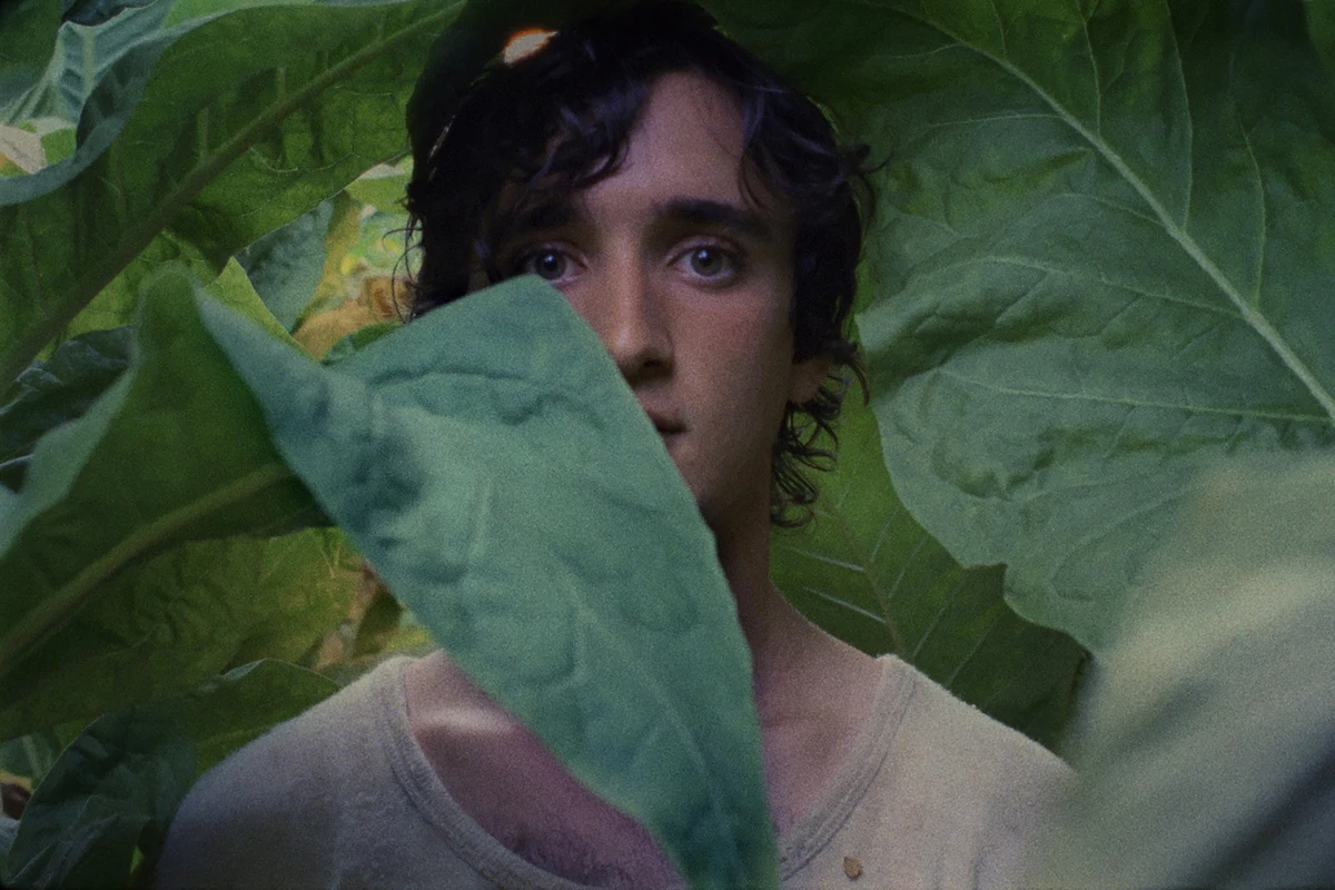Kadr z filmu "Szczęśliwy Lazzaro" Alice Rohrwacher, nagrodzonego na festiwalu w Cannes za scenariusz