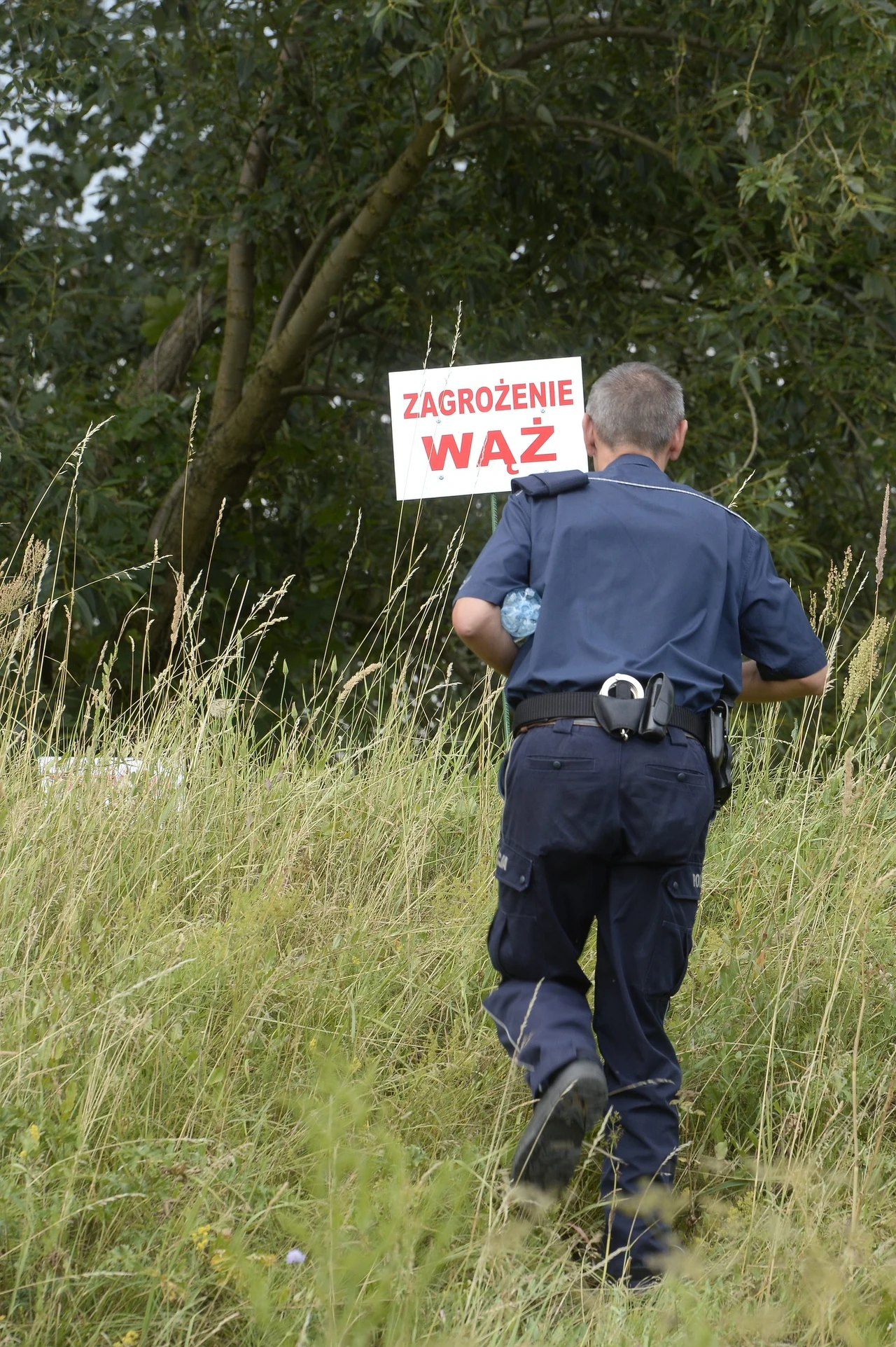 Poszukiwania węża Poszukiwania węża