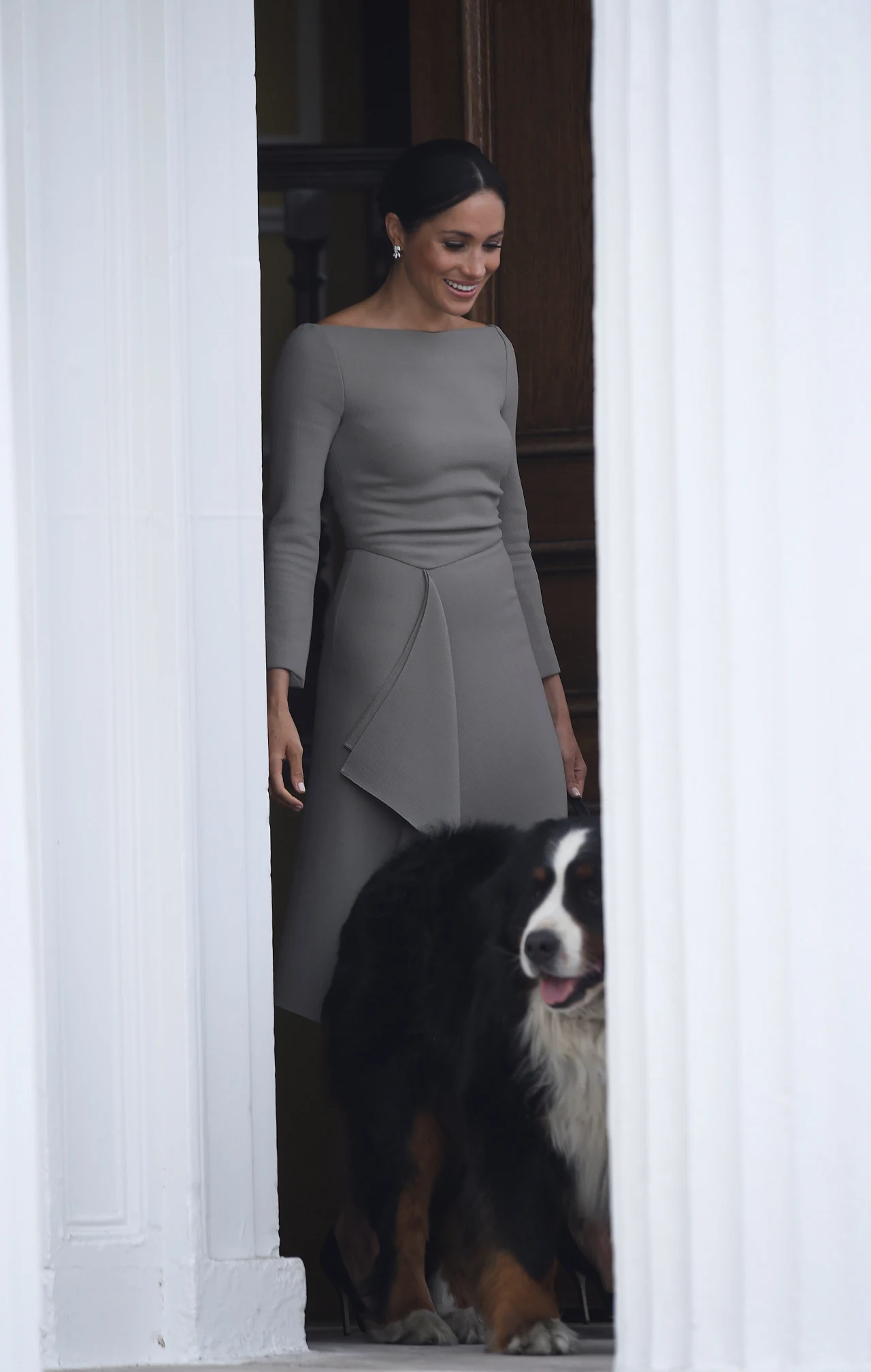 Księżna Meghan znana jest jako miłośniczka zwierząt Księżna Meghan znana jest jako miłośniczka zwierząt