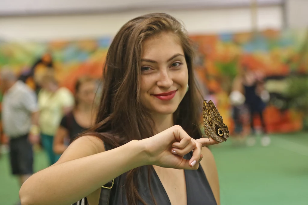 Motyla Zagroda na Słowacji 