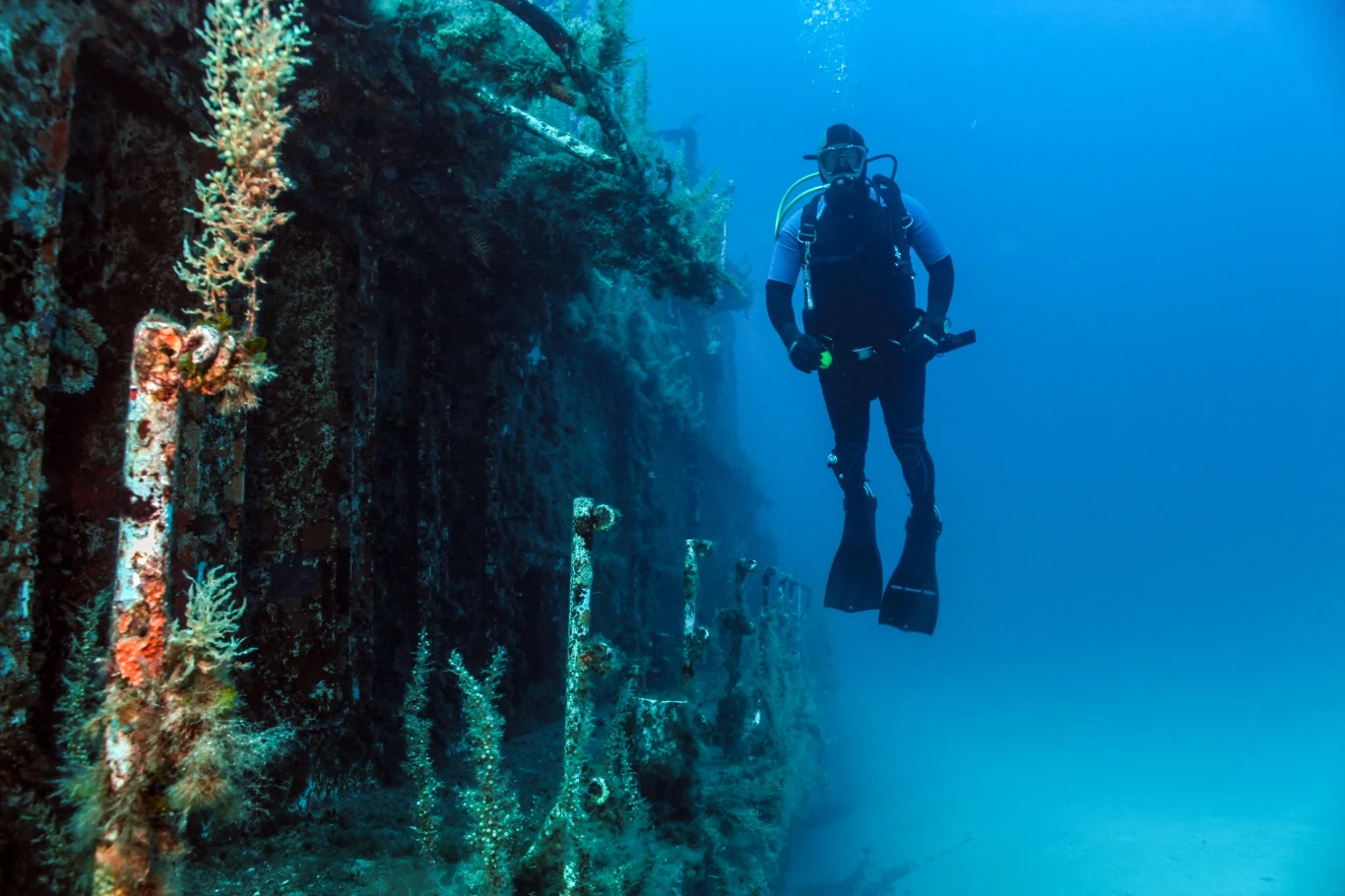 Skarby z wybrzeży Florydy muszą wrócić do Francji Skarby z wybrzeży Florydy muszą wrócić do Francji