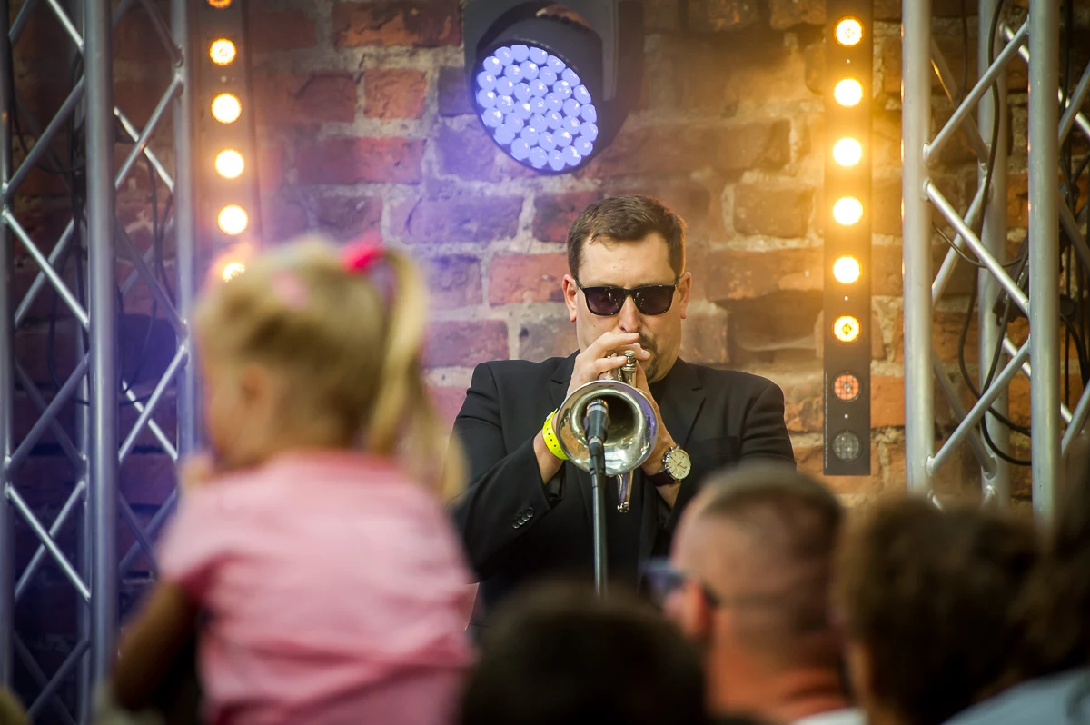 Marek Dyjak na Jarocin Festiwal 2018
