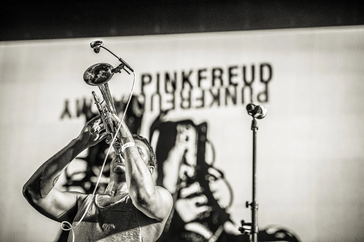 Pink Freud na Jarocin Festiwal 2018