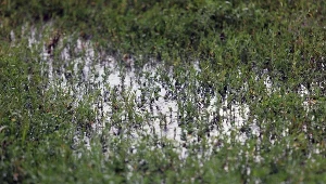 Aura nie jest łaskawa w ostatnich dniach...