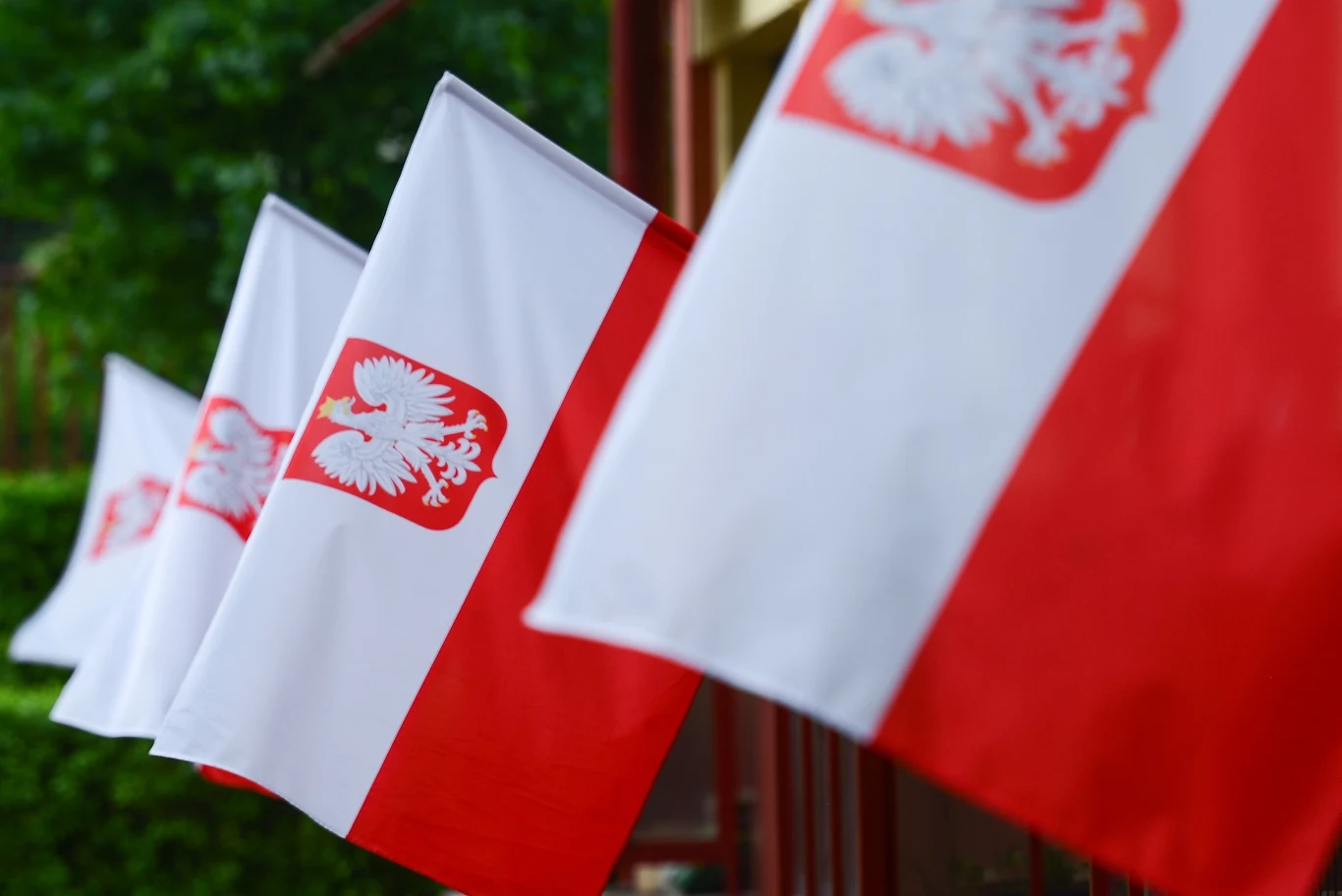 "Nasza przeszłość może być fascynująca dla zachodnich badaczy" "Nasza przeszłość może być fascynująca dla zachodnich badaczy"