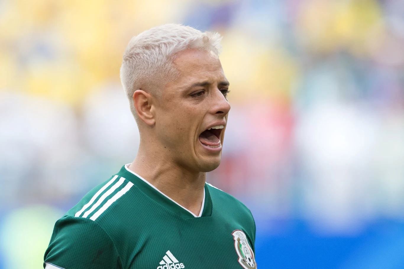 Javier Hernandez Javier Hernandez