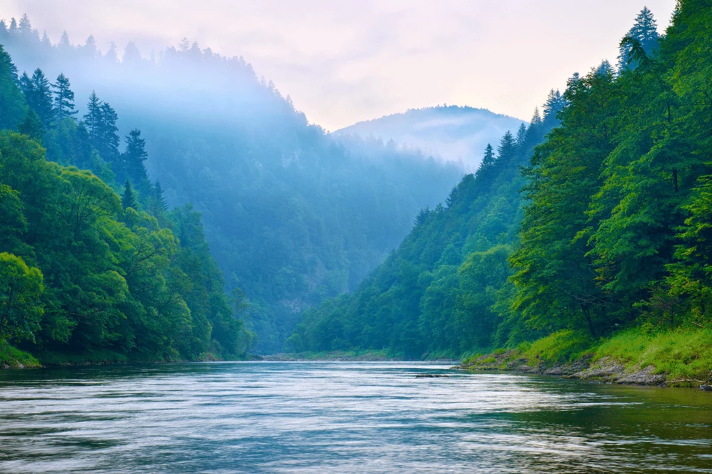 Widok na Pieniny