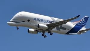 Airbus Beluga XL. Latający uśmiechnięty delfin