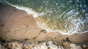 Kąpieliska nad Bałtykiem zamknięte z powodu zakwitu sinic