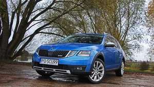 Skoda Octavia Scout 1.8 TSI – wbrew trendom