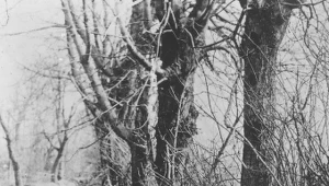 Legiony Polskie w okopach wielkiej wojny