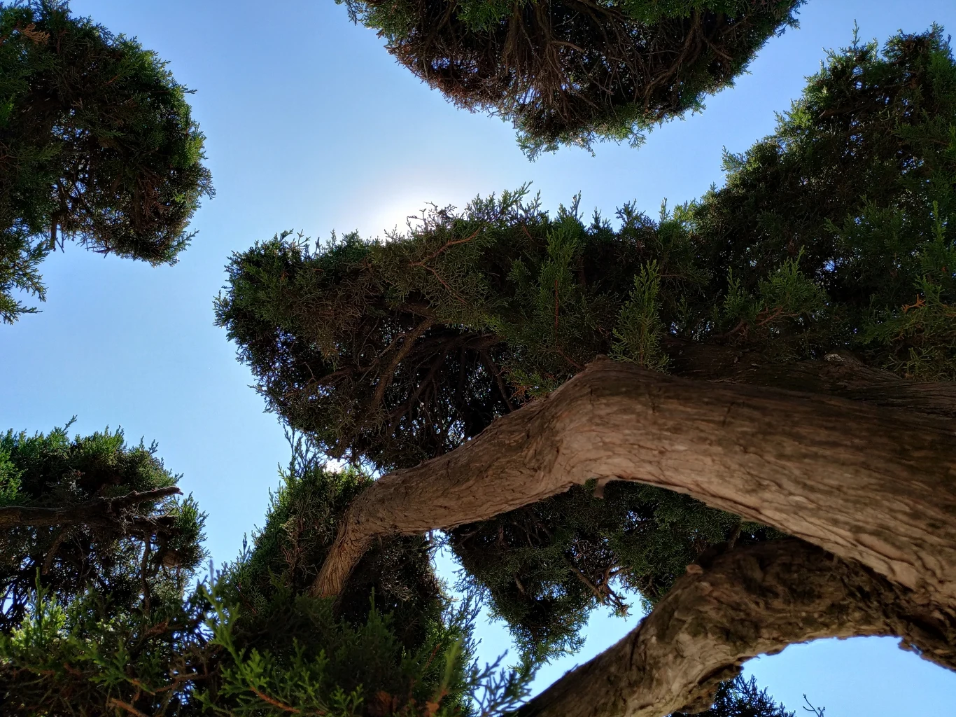 Zdjęcie wykonane Xiaomi Mi A2 - Madryt