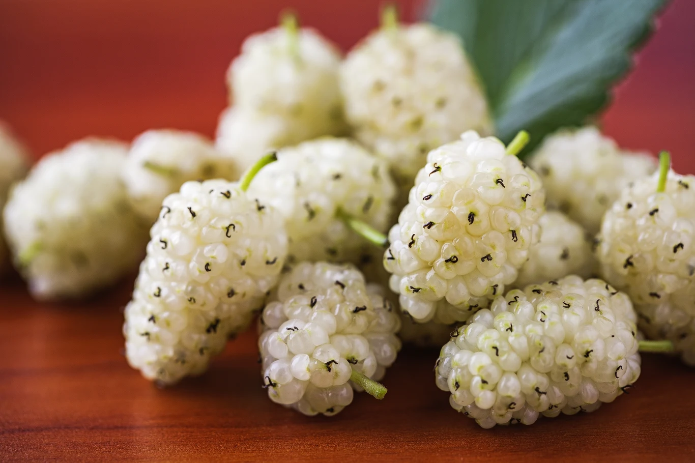 Napar z morwy białej pomoże unormować poziom cukru we krwi Napar z morwy białej pomoże unormować poziom cukru we krwi