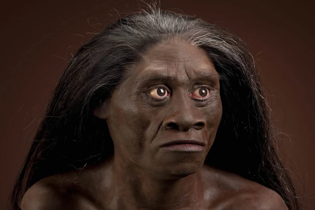 Tak mogli wyglądać przedstawiciele gatunku Homo floresiensis