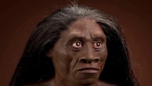 Homo floresiensis — prawdziwi hobbici z Indonezji. Ich potomkowie mogą wciąż żyć!