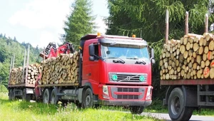 Trzy ciężarówki z drewnem. Stanowiły śmiertelne zagrożenie!