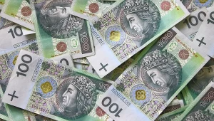 Czy ulgi podatkowe będą odpowiednim wsparciem rodzimego gamedevu?