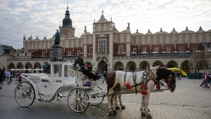 Dorożka na Rynku Głównym w Krakowie