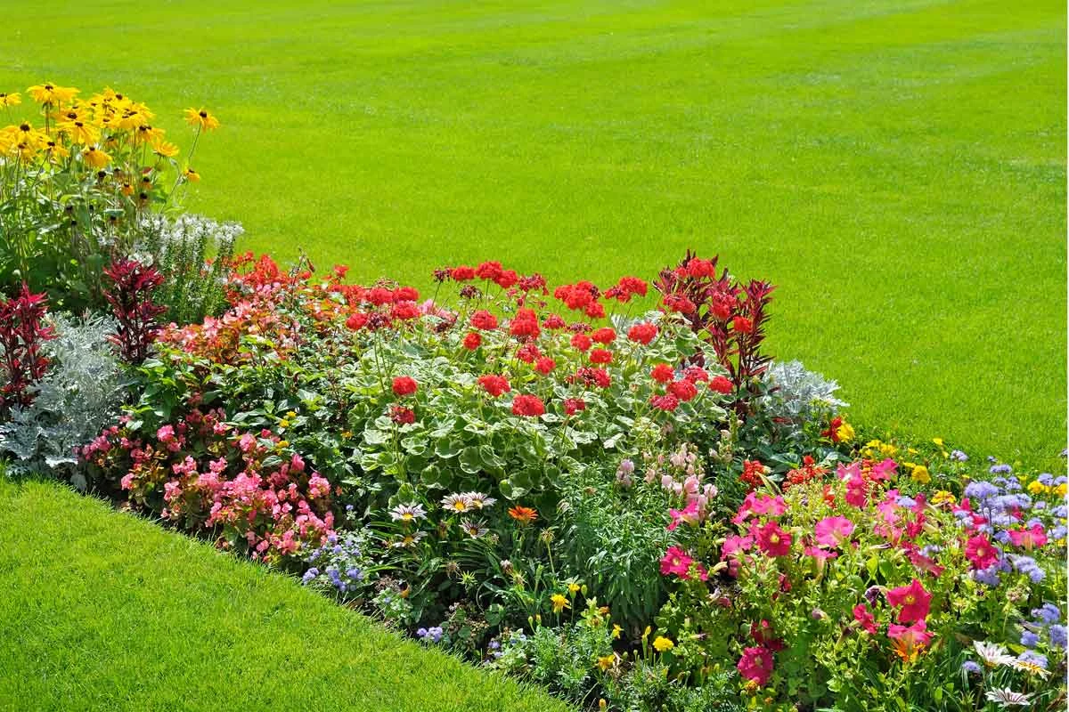 Czym opryskiwać rośliny, by pozbyć się gąsienic? Czym opryskiwać rośliny, by pozbyć się gąsienic?