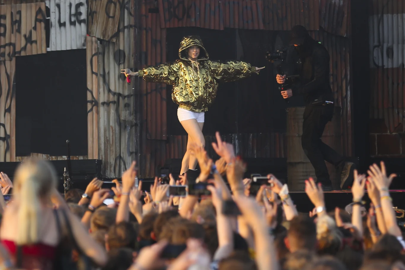 Die Antwoord