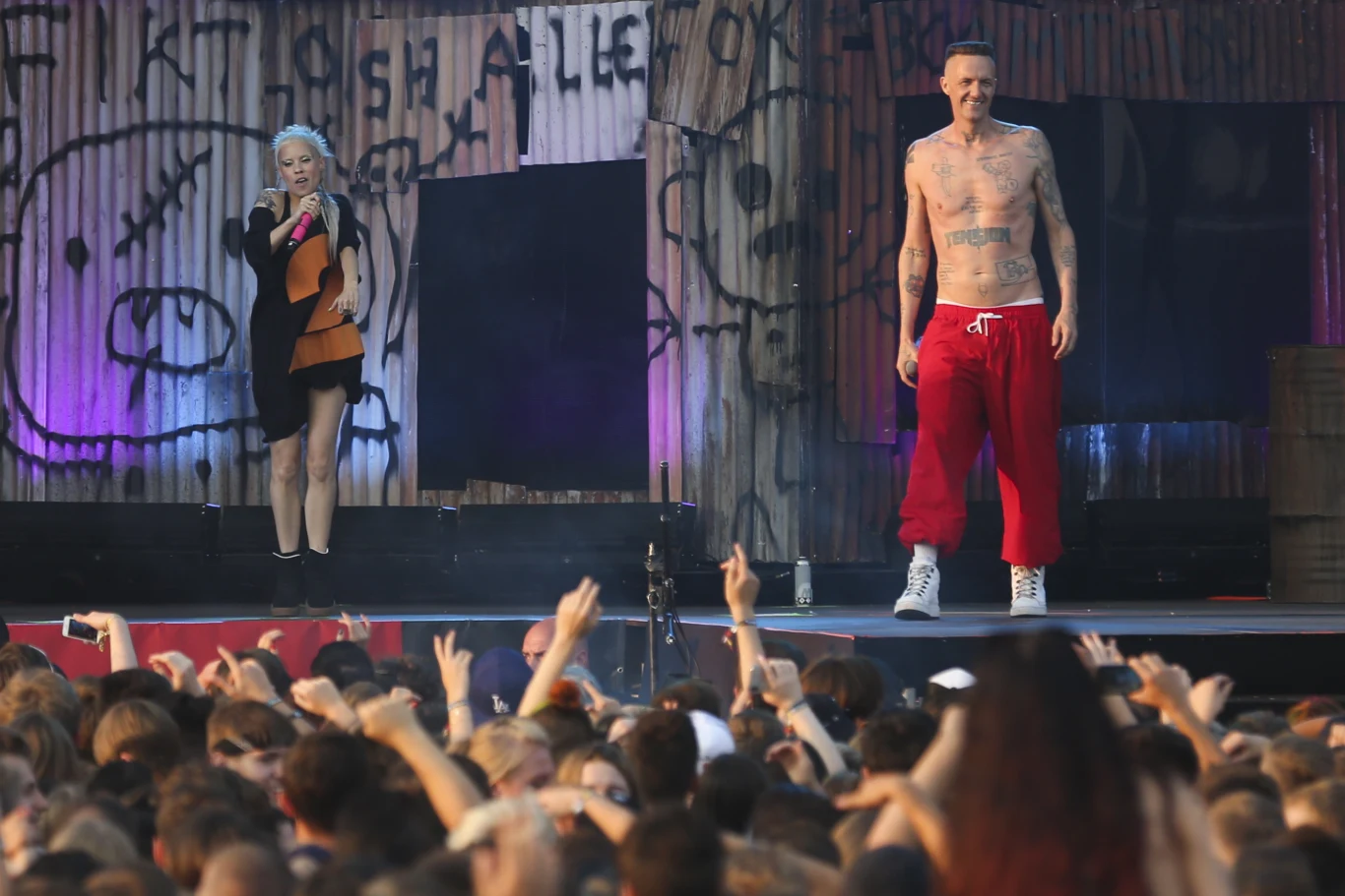 Die Antwoord