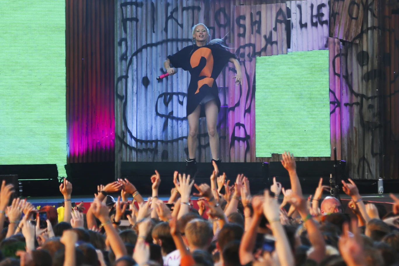 Die Antwoord
