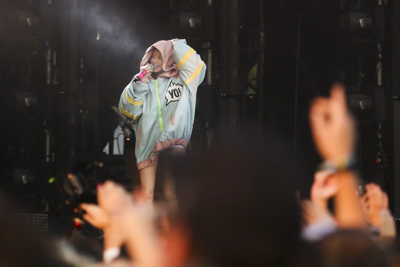 Die Antwoord